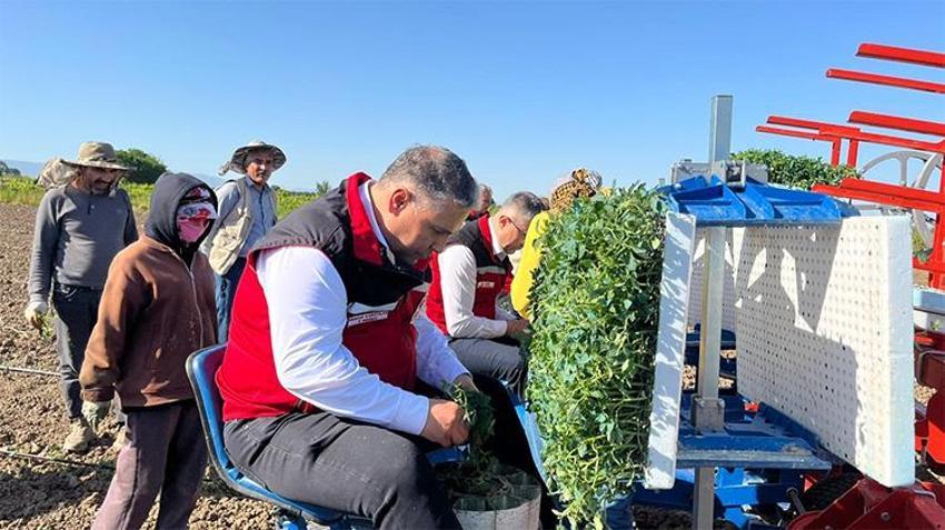 Türkiye'nin ikincisi! Manisa’da sezon açıldı, 131 bin dekarlık alanda mesai başladı
