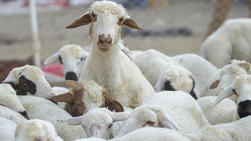 Kadın ve genç girişimcilere büyük destek! Başvurular bugün sona eriyor