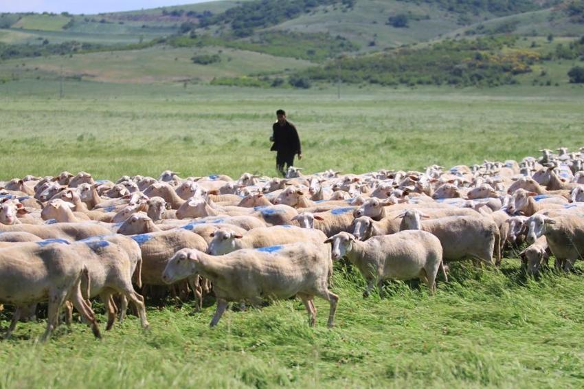 Kadın ve genç girişimcilere büyük destek! Başvurular bugün sona eriyor