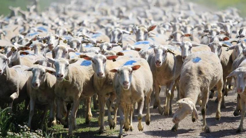 Kadın ve genç girişimcilere büyük destek! Başvurular bugün sona eriyor