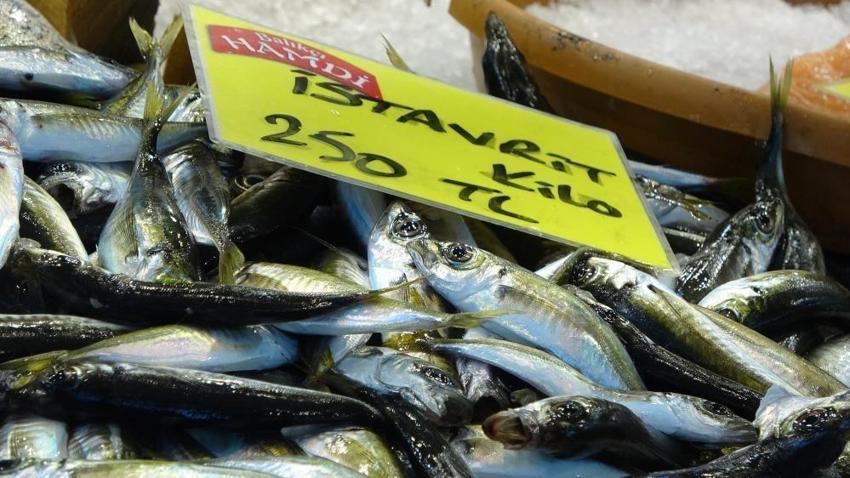Av yasağı var ancak balık halinde kış devam ediyor! Çeşit bol, fiyat uygun