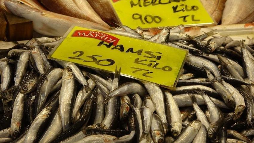 Av yasağı var ancak balık halinde kış devam ediyor! Çeşit bol, fiyat uygun