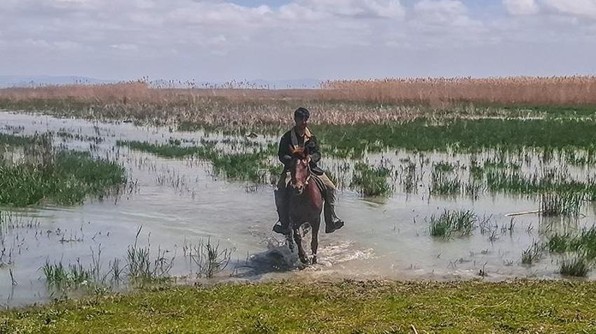 Konya'da mucize kurtuluş! Akşehir Gölü 8 yıllık aranın ardından yeniden su tuttu
