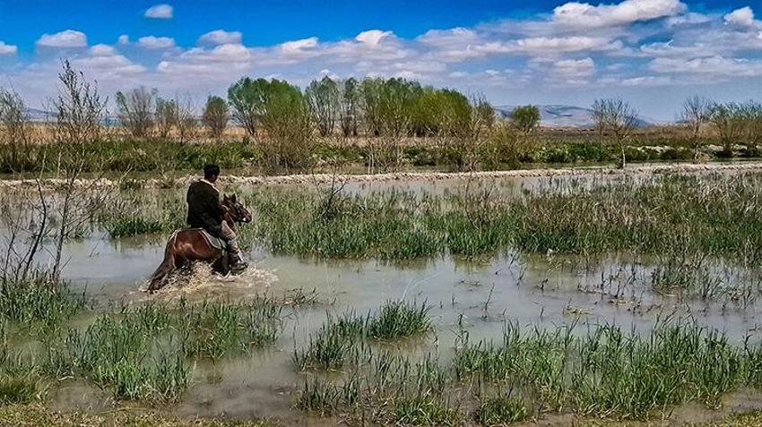 Konya'da mucize kurtuluş! Akşehir Gölü 8 yıllık aranın ardından yeniden su tuttu