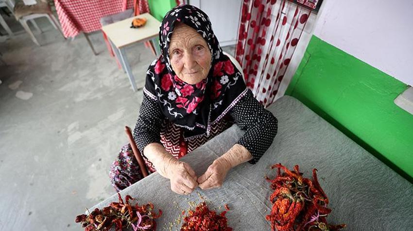 Kırklareli'nin köylerinde mesaisi başladı! İmece usulüyle sofralara taşınıyor: Hem şifa hem gelenek!