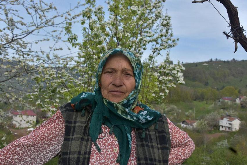 Bahar geldi Hendek yeşil cennete dönüştü