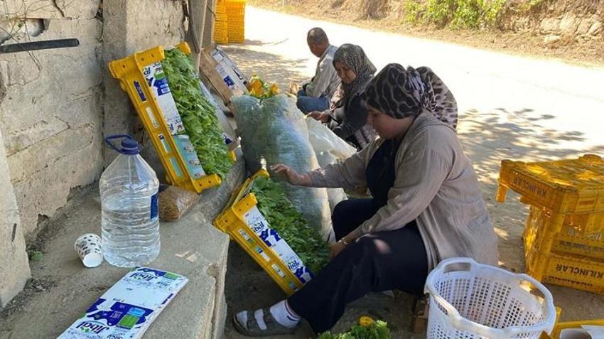 Üzümden daha pahalı! Manisa'da üreticinin yüzü güldü: Fiyatı 120 TL'yi gördü