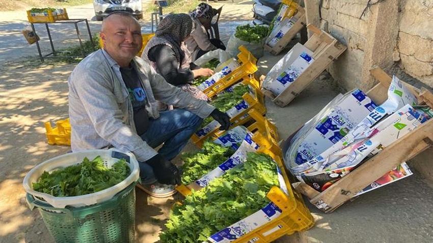 Üzümden daha pahalı! Manisa'da üreticinin yüzü güldü: Fiyatı 120 TL'yi gördü