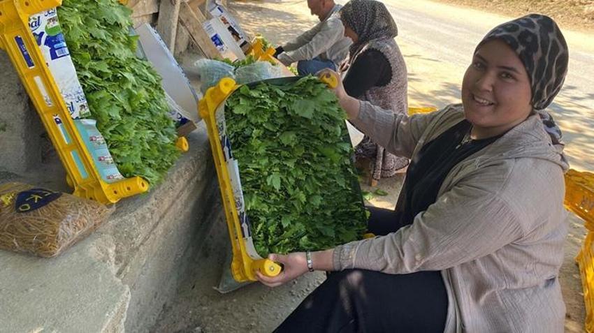Üzümden daha pahalı! Manisa'da üreticinin yüzü güldü: Fiyatı 120 TL'yi gördü