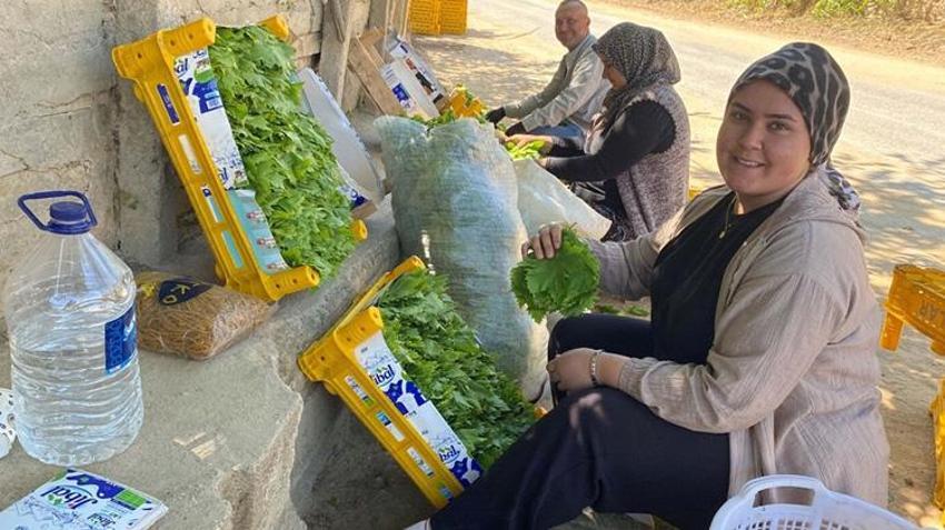 Üzümden daha pahalı! Manisa'da üreticinin yüzü güldü: Fiyatı 120 TL'yi gördü
