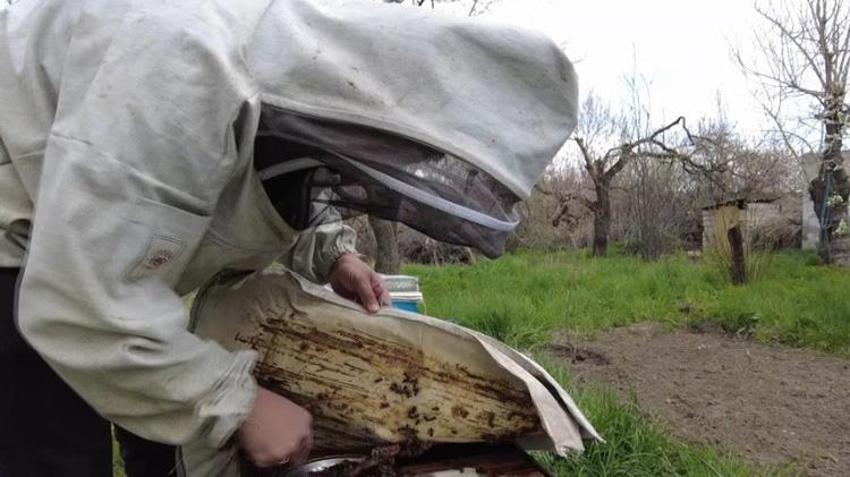Kars balının sırrı burada gizli! Arıcıların yayla yolculuğu için geri sayım başladı