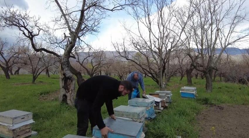 Kars balının sırrı burada gizli! Arıcıların yayla yolculuğu için geri sayım başladı