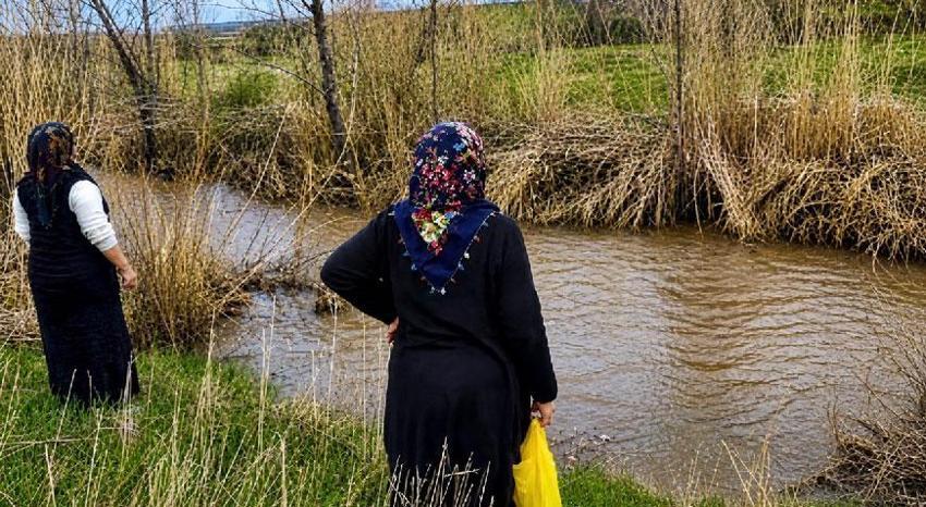 Ağrı'da kadınlar bahar otlarını topluyor! Hem şifa kaynağı hem de ekonomik kazanç