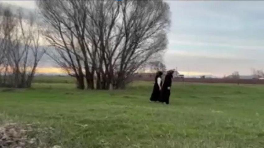 Ağrı'da kadınlar bahar otlarını topluyor! Hem şifa kaynağı hem de ekonomik kazanç