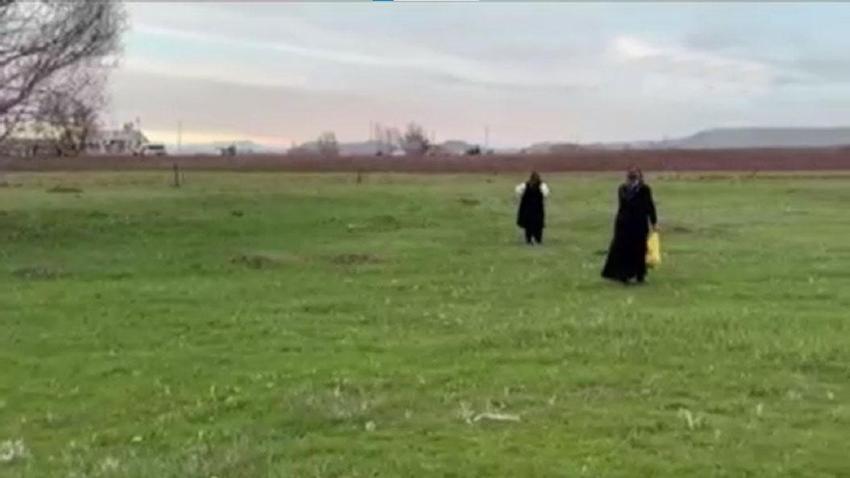Ağrı'da kadınlar bahar otlarını topluyor! Hem şifa kaynağı hem de ekonomik kazanç