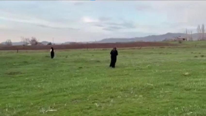Ağrı'da kadınlar bahar otlarını topluyor! Hem şifa kaynağı hem de ekonomik kazanç