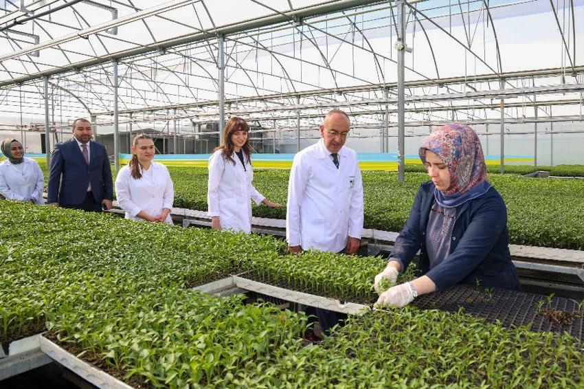 Konya çiftçisine büyük destek! Yeni sezon satışları başladı, şehrin havasına, toprağına ve suyuna uyumlu