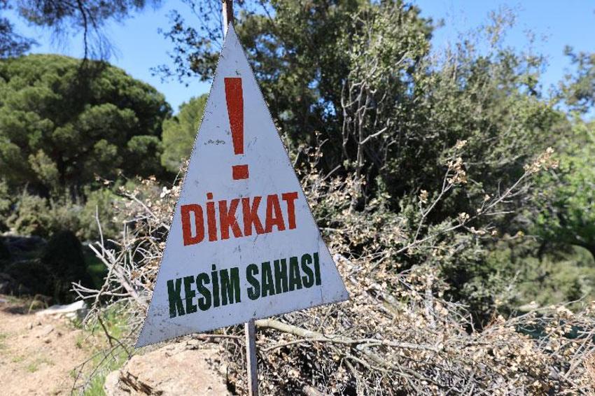 Aydın'da köylülerin tapu mücadelesi: Tapulu arazimiz bir anda başka bir yere kayıyor!