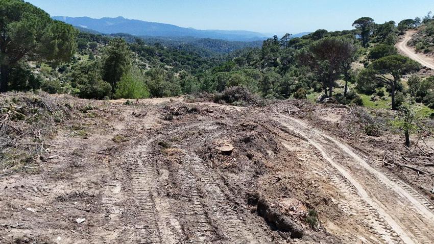 Aydın'da köylülerin tapu mücadelesi: Tapulu arazimiz bir anda başka bir yere kayıyor!