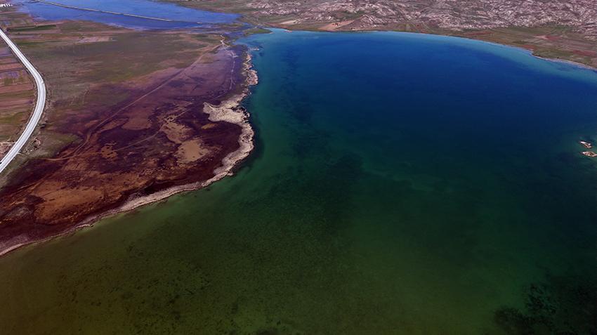 Sivas'ta yıllar sonra bir ilk! Köylüler inanamadı, yüzde 100'e ulaştı