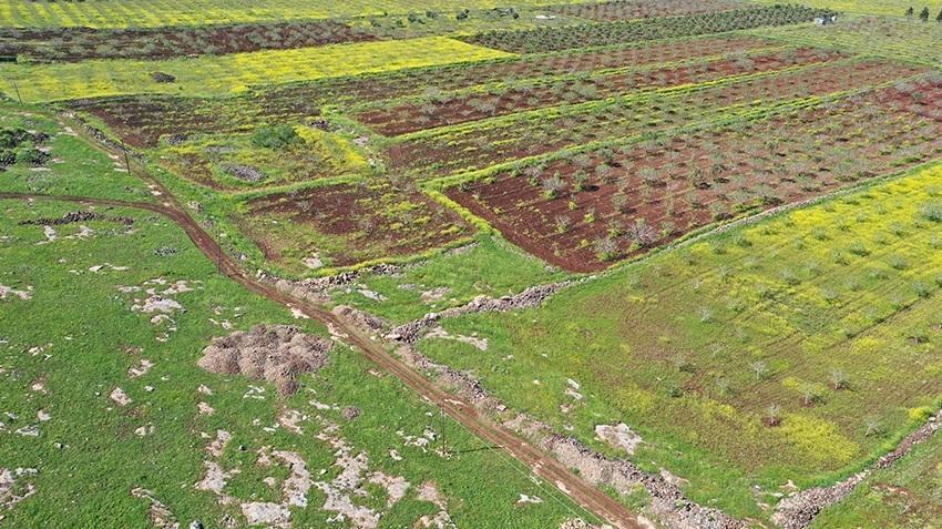 Japonya ve Çin'den Şanlıurfa'nın köyüne geldiler! Türkiye'de daha önce yapılmadı, yıllarca sürecek