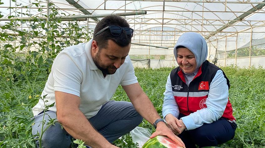 Antalya'da hasat erken başladı! Tonlarca topladılar, pazarda kilosu 50 TL'den kalmadı
