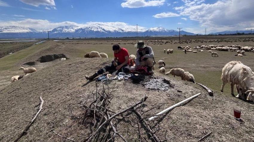 Erzincan’da üreticiler bayram edecek! Her gün 5-6 bin lira ceplerinde kalıyor