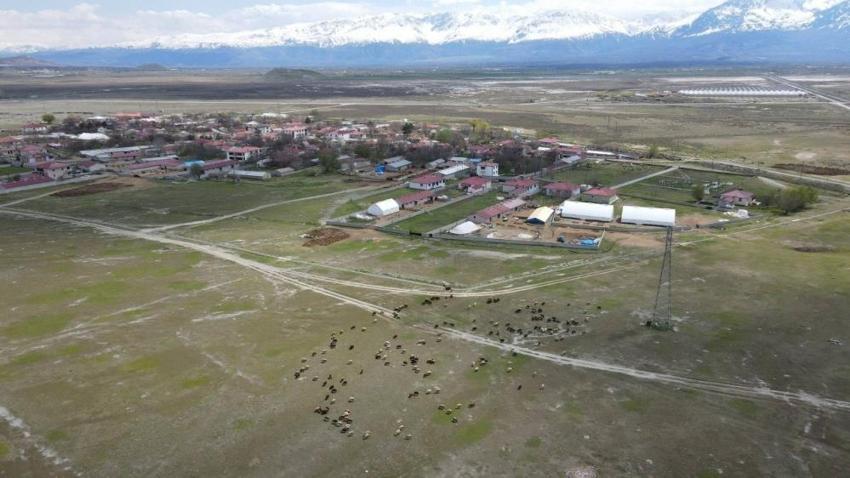 Erzincan’da üreticiler bayram edecek! Her gün 5-6 bin lira ceplerinde kalıyor
