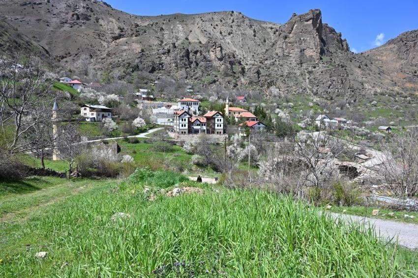 Gümüşhane Süleymaniye'de kar ve çiçek aynı karede: Şehir merkezine 10 dakika mesafedeki cennet keşfedilmeyi bekliyor!