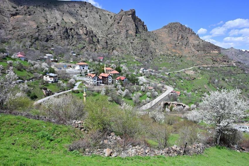 Gümüşhane Süleymaniye'de kar ve çiçek aynı karede: Şehir merkezine 10 dakika mesafedeki cennet keşfedilmeyi bekliyor!