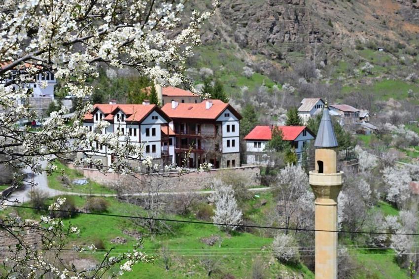 Gümüşhane Süleymaniye'de kar ve çiçek aynı karede: Şehir merkezine 10 dakika mesafedeki cennet keşfedilmeyi bekliyor!