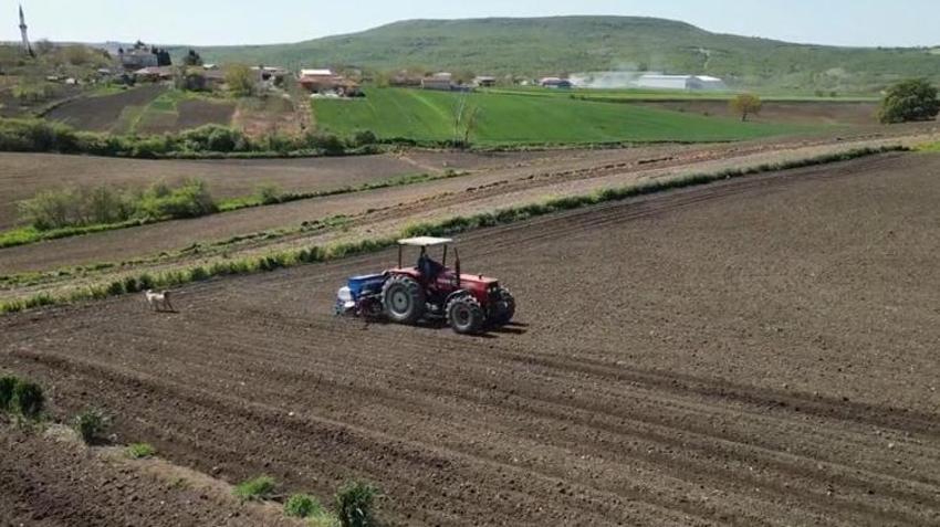 Sabah başlıyor, akşama kadar sürüyor! Tekirdağ’da tarlalar hareketlendi