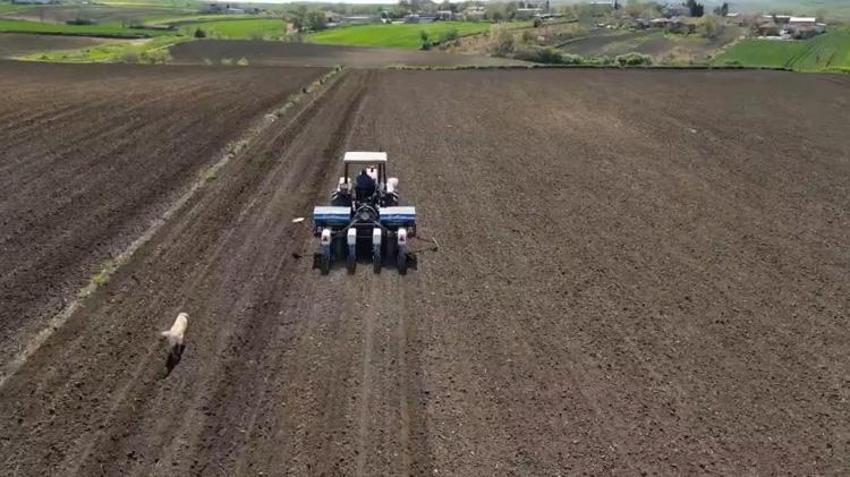 Sabah başlıyor, akşama kadar sürüyor! Tekirdağ’da tarlalar hareketlendi