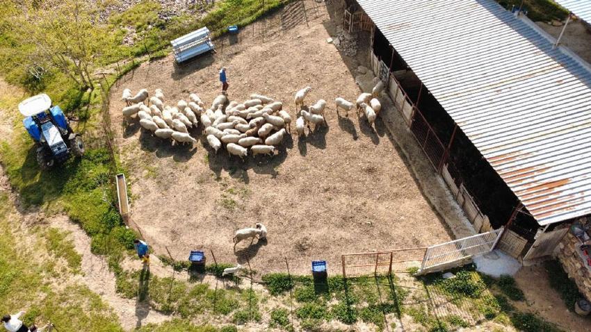 Manisalı sağlıkçı genç aile geleneğini yenilikçi projelerle büyütüyor!