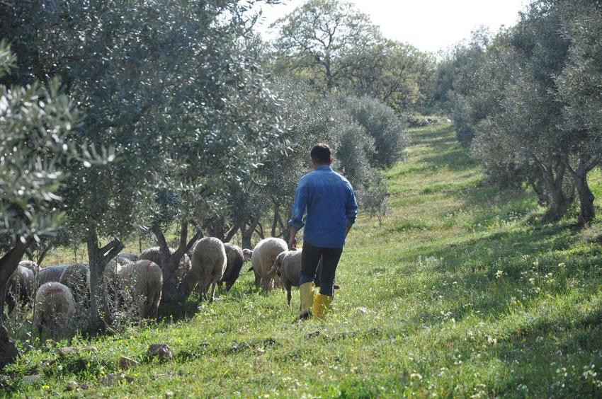 Manisalı sağlıkçı genç aile geleneğini yenilikçi projelerle büyütüyor!
