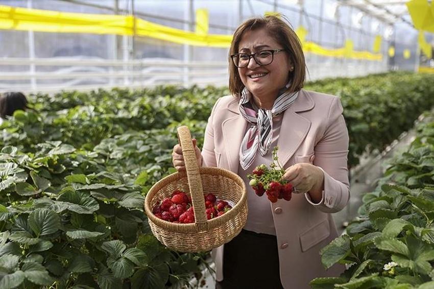 65 yaş üstüne toplu ulaşımdan sonra bir hizmet daha ücretsiz oldu