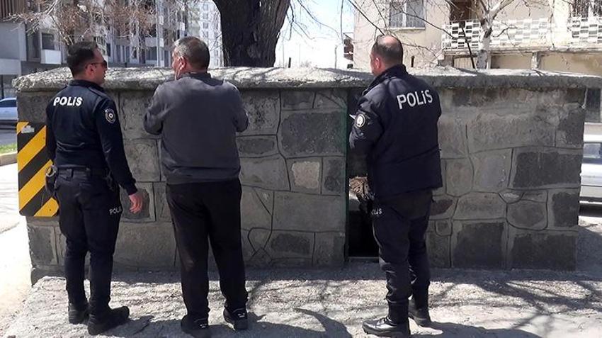 Erzurum'da 'Öksürük Baba' türbesi define avcılarının hedefi oldu!