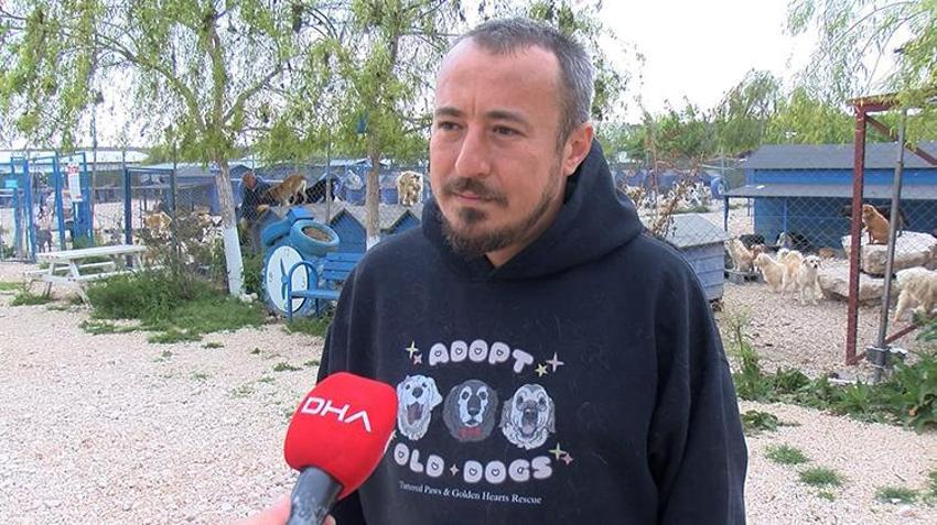 Pandemide sahiplenilen hayvanlar terk edildi! Barınaklarda yer kalmadı