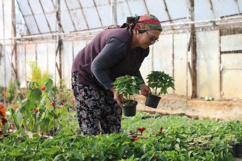 Belediye destekledi, kadınlar üretti: Şehrin her sokağında yer alıyor