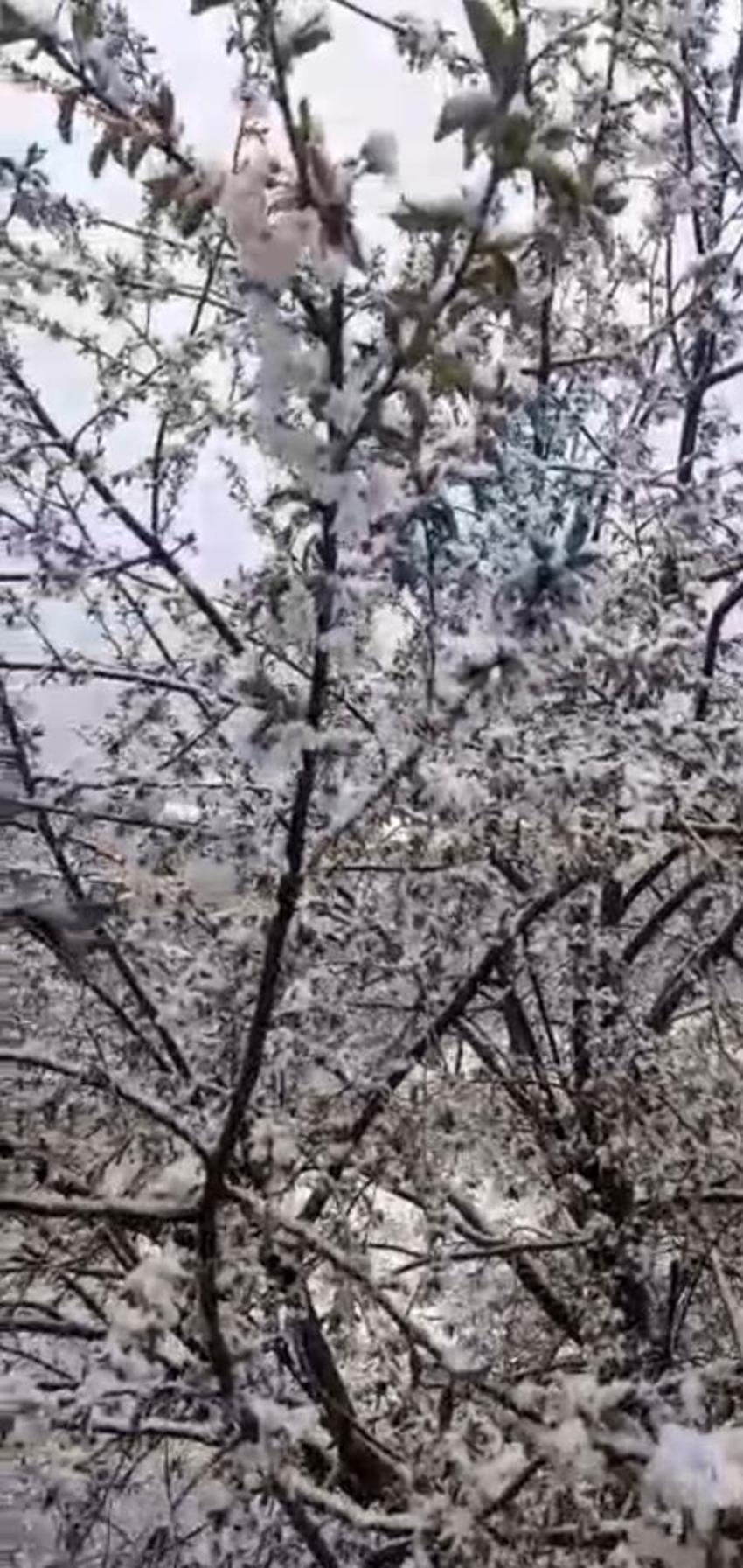 Mayıs ayında kara kış geldi, okullar tatil edildi! Onlarca ilde kar yağışı etkili oldu: İşte kar yağan il ve ilçeler