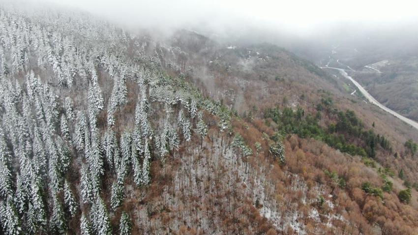 Kastamonu'da Mayıs çiçeklerini kar kapladı: Ilgaz Dağı'nda mest eden görüntüler