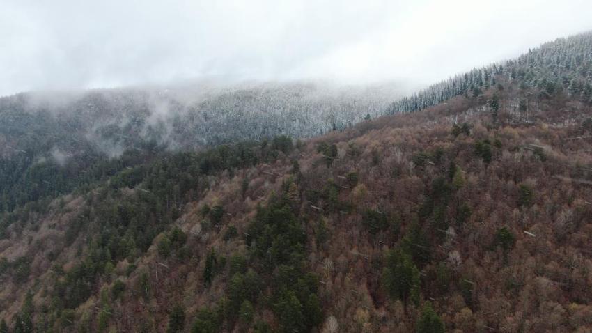 Kastamonu'da Mayıs çiçeklerini kar kapladı: Ilgaz Dağı'nda mest eden görüntüler