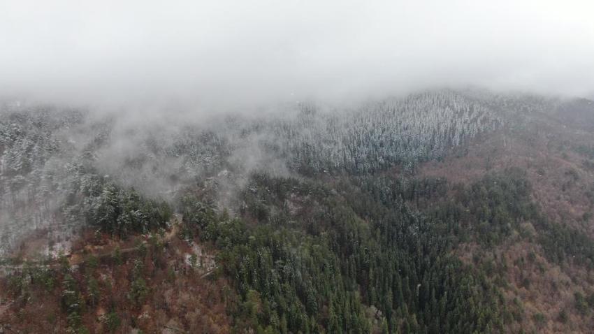 Kastamonu'da Mayıs çiçeklerini kar kapladı: Ilgaz Dağı'nda mest eden görüntüler