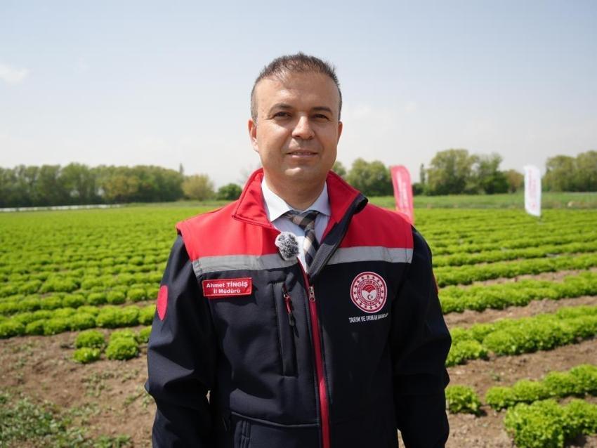 Iğdır'da yılın ilk mahsulü marul oldu! 2026 hasat sezonu açıldı