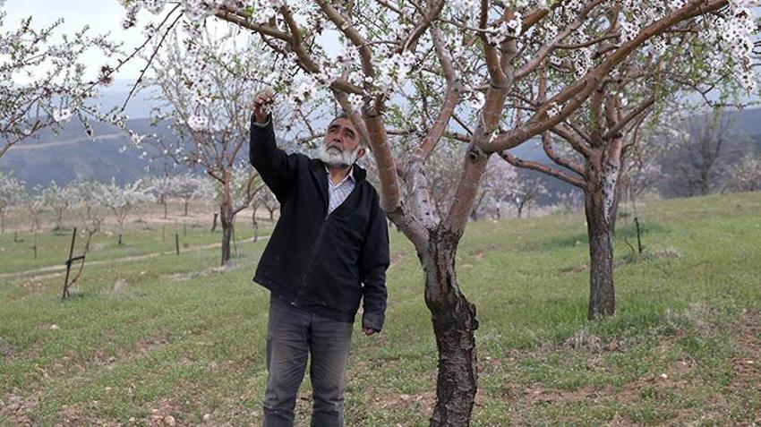 Kayseri'de doktor çiftçi mesleğin kitabını yeniden yazdı! Önce devletten 100 hektar araziyi kiraladı