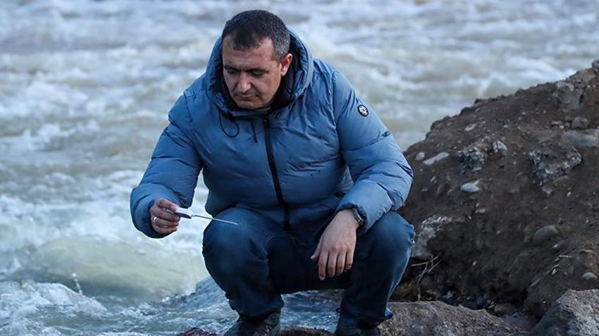 Dünyada sadece burada görülüyor! 15 Temmuz’a kadar sürecek mücadele başladı: Her biri 10 bin yumurta taşıyor ve zıplayarak göç ediyor