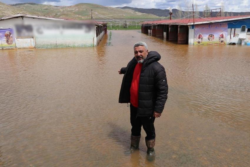 Sivas'ın kaderi değişmedi: Bu kez kangallar da nasibini aldı!