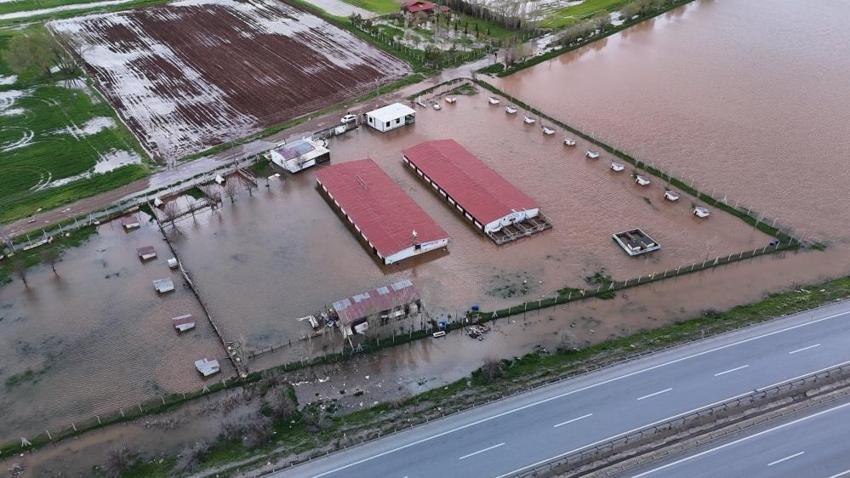 Sivas'ın kaderi değişmedi: Bu kez kangallar da nasibini aldı!