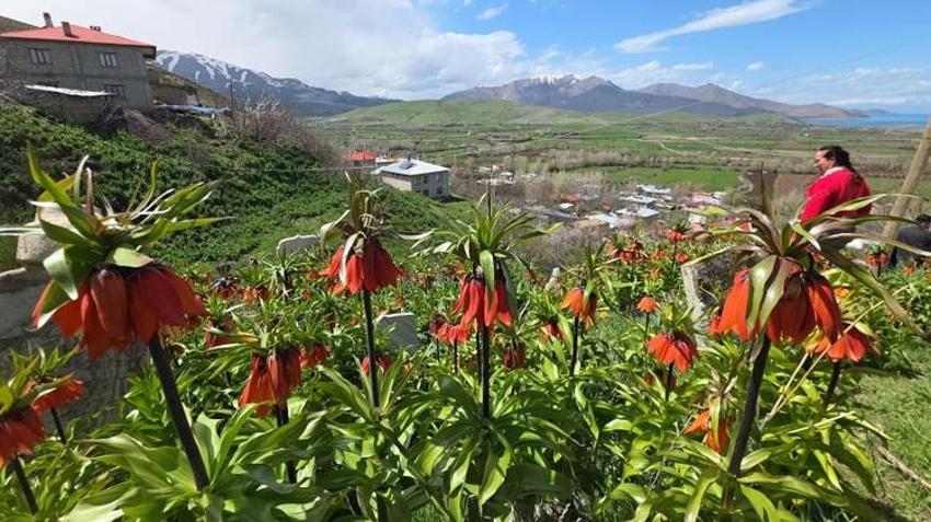 Yılda sadece 15 gün açıyorlar! Bölge halkı akın akın görmeye geliyor