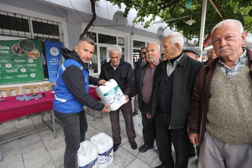 Muğla'da fıstık üreticisinin yüzü gülecek! Çam kozalağı zararlısına karşı doğal savaş başladı